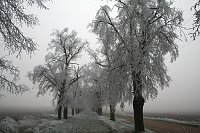 Winterlandschaft bei Kelbra Bild: Winterlandschaft bei Kelbra