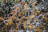 Winterlandschaft bei Kelbra Bild: Winterlandschaft bei Kelbra