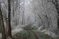 Winterlandschaft bei Kelbra Bild: Winterlandschaft bei Kelbra