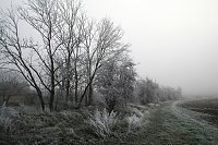 Winterlandschaft bei Kelbra Bild: Winterlandschaft bei Kelbra