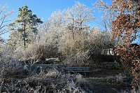 Winterlandschaft bei Kelbra Bild: Winterlandschaft bei Kelbra