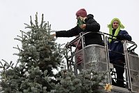 Große Freude bei kleinen Wichteln - Kita Kinder schmücken Weihnachtsbaum am Bad Langensalzaer Rathaus Bild: Große Freude bei kleinen Wichteln - Kita Kinder schmücken Weihnachtsbaum am Bad Langensalzaer Rathaus