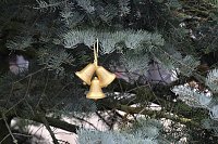 Große Freude bei kleinen Wichteln - Kita Kinder schmücken Weihnachtsbaum am Bad Langensalzaer Rathaus Bild: Große Freude bei kleinen Wichteln - Kita Kinder schmücken Weihnachtsbaum am Bad Langensalzaer Rathaus
