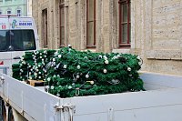 Große Freude bei kleinen Wichteln - Kita Kinder schmücken Weihnachtsbaum am Bad Langensalzaer Rathaus Bild: Große Freude bei kleinen Wichteln - Kita Kinder schmücken Weihnachtsbaum am Bad Langensalzaer Rathaus