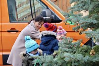 Kita Kinder schmücken mit Kurdirektorin Katja Rudolph den Weihnachtsbaum am Bad Langensalzaer Rathaus Bild: Kita Kinder schmücken mit Kurdirektorin Katja Rudolph den Weihnachtsbaum am Bad Langensalzaer Rathaus