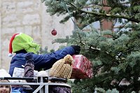 Große Freude bei kleinen Wichteln - Kita Kinder schmücken Weihnachtsbaum am Bad Langensalzaer Rathaus Bild: Große Freude bei kleinen Wichteln - Kita Kinder schmücken Weihnachtsbaum am Bad Langensalzaer Rathaus