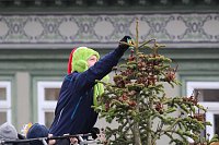 Große Weihnachtsbaumschmück-Aktion auf dem Töpfermarkt in Bad Langensalza Bild: Große Weihnachtsbaumschmück-Aktion auf dem Töpfermarkt in Bad Langensalza