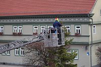 Große Weihnachtsbaumschmück-Aktion auf dem Töpfermarkt in Bad Langensalza Bild: Große Weihnachtsbaumschmück-Aktion auf dem Töpfermarkt in Bad Langensalza