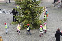 Große Weihnachtsbaumschmück-Aktion auf dem Töpfermarkt in Bad Langensalza Bild: Große Weihnachtsbaumschmück-Aktion auf dem Töpfermarkt in Bad Langensalza