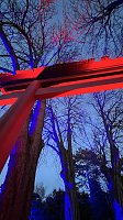Bild: Die Lichterpoesie in Bad Langensalza ist er&ouml;ffnet