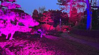 Bild: Die Lichterpoesie in Bad Langensalza ist er&ouml;ffnet