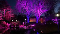Bild: Die Lichterpoesie in Bad Langensalza ist er&ouml;ffnet