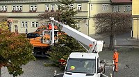 Bild: Immer f&uuml;r die Stadt im Einsatz