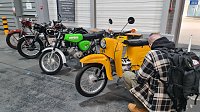 Bild: Jede Menge Oldtimer gab es am Wochenende in Erfurt zu sehen.