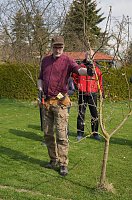 Thomas Wey gibt Tipps für den ertragreichen Obstbaumschnitt Bild: Thomas Wey gibt Tipps für den ertragreichen Obstbaumschnitt