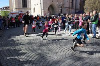 Bild: 13. TMP 3-T&uuml;rme-Lauf in Bad Langensalza