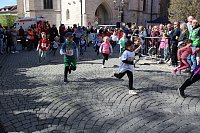 Bild: 13. TMP 3-T&uuml;rme-Lauf in Bad Langensalza