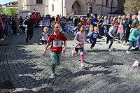 Bild: 13. TMP 3-T&uuml;rme-Lauf in Bad Langensalza
