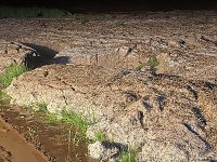 Bild: Unwetter-Einsatz im Unstrut-Hainich-Kreis