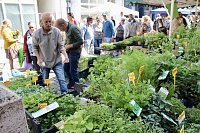 Bild: Gr&uuml;nes Innenstadtfest Bad Langensalza