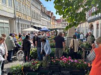 Bild: Gr&uuml;nes Innenstadtfest Bad Langensalza