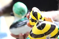 Entenrennen Bad Langensalza 2026 Bild: Entenrennen Bad Langensalza 2026