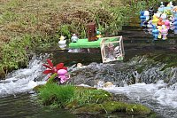 Entenrennen Bad Langensalza 2026 Bild: Entenrennen Bad Langensalza 2026