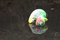 Entenrennen Bad Langensalza 2026 Bild: Entenrennen Bad Langensalza 2026