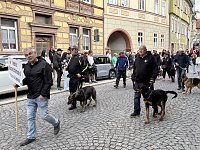 Festumzug zum 214. Brunnenfest Bild: Festumzug zum 214. Brunnenfest
