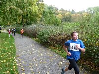 Bild: Stadtparklauf Sondershausen