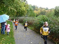Bild: Stadtparklauf Sondershausen