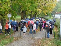 Bild: Stadtparklauf Sondershausen