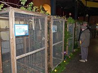 Vogelausstellung in Sondershausen Bild: Vogelausstellung in Sondershausen