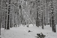 Bild: Heiligabend auf den Brocken