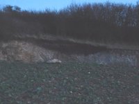 Erdfall Bad Frankenhausen Bild: Erdfall Bad Frankenhausen
