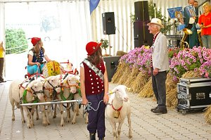 Bauernmarkt