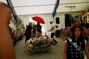 Bauernmarkt