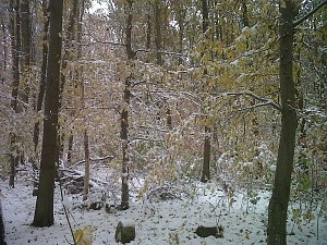 Herbst und Winter