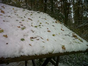 Herbst und Winter