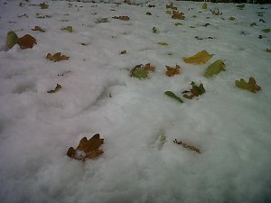 Herbst und Winter