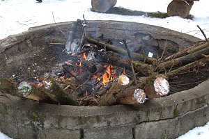 Schlittenhunderennen in Benneckenstein