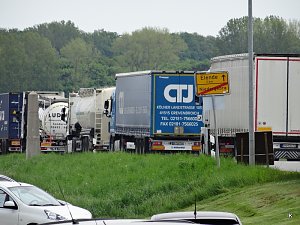 B&auml;rin Conny zieht nach Worbis