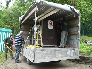 B&auml;rin Conny zieht nach Worbis