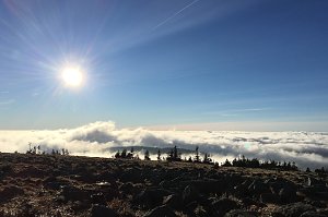 Brocken am 30. Dezember 2015