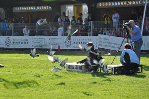 Schulsporttag 2009