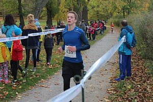 24. Stadtparklauf in Sondershausen (1)