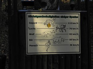 Peter Blei im Bärenpark Worbis