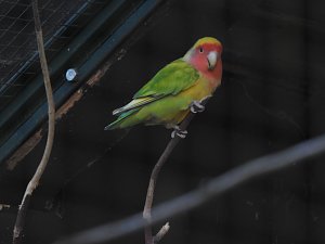 Peter Blei im Bärenpark Worbis