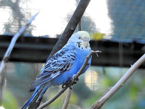Peter Blei im Bärenpark Worbis