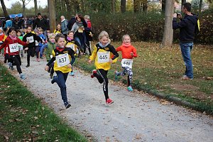 Stadtparklauf in Sondershausen (2)